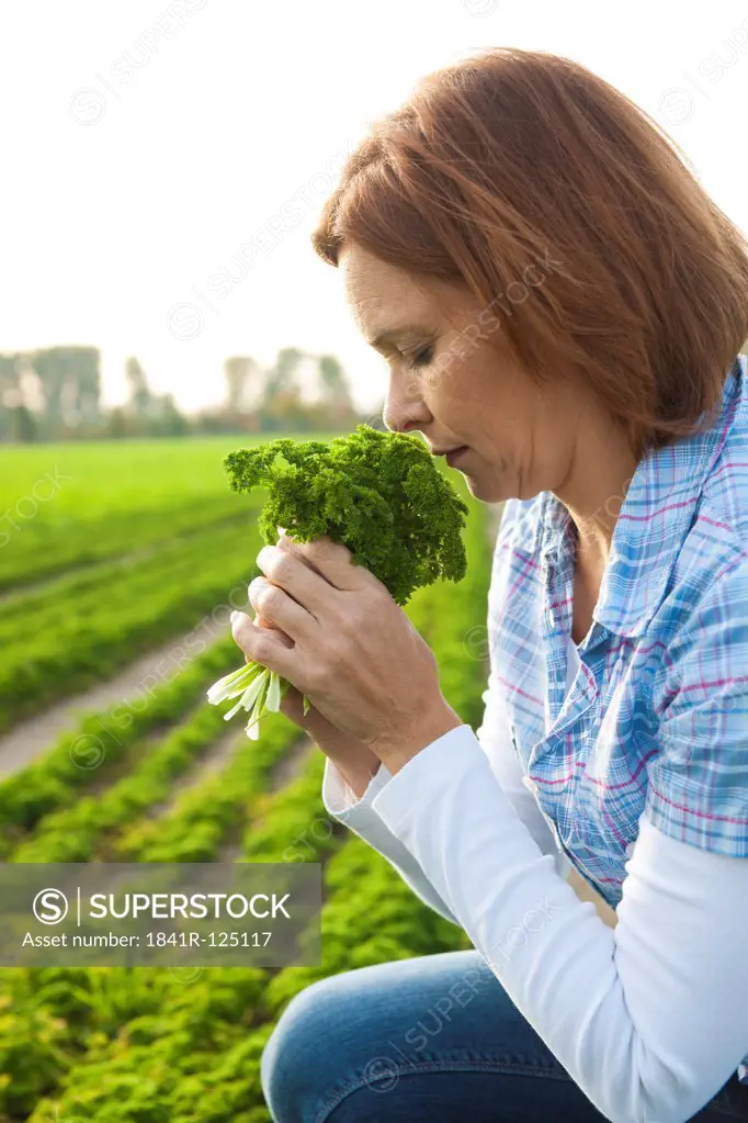 Woman harvesting parsley