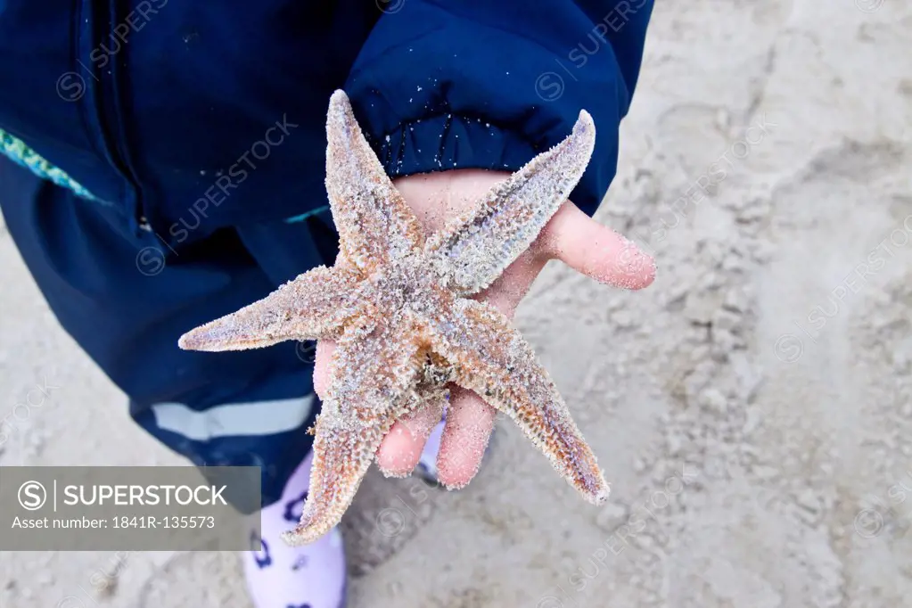 Child holding starfish on the beach