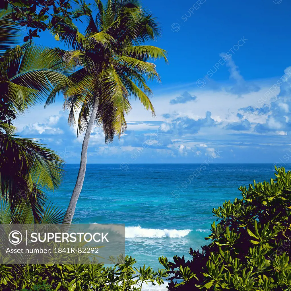 Seychelles Islands, beach