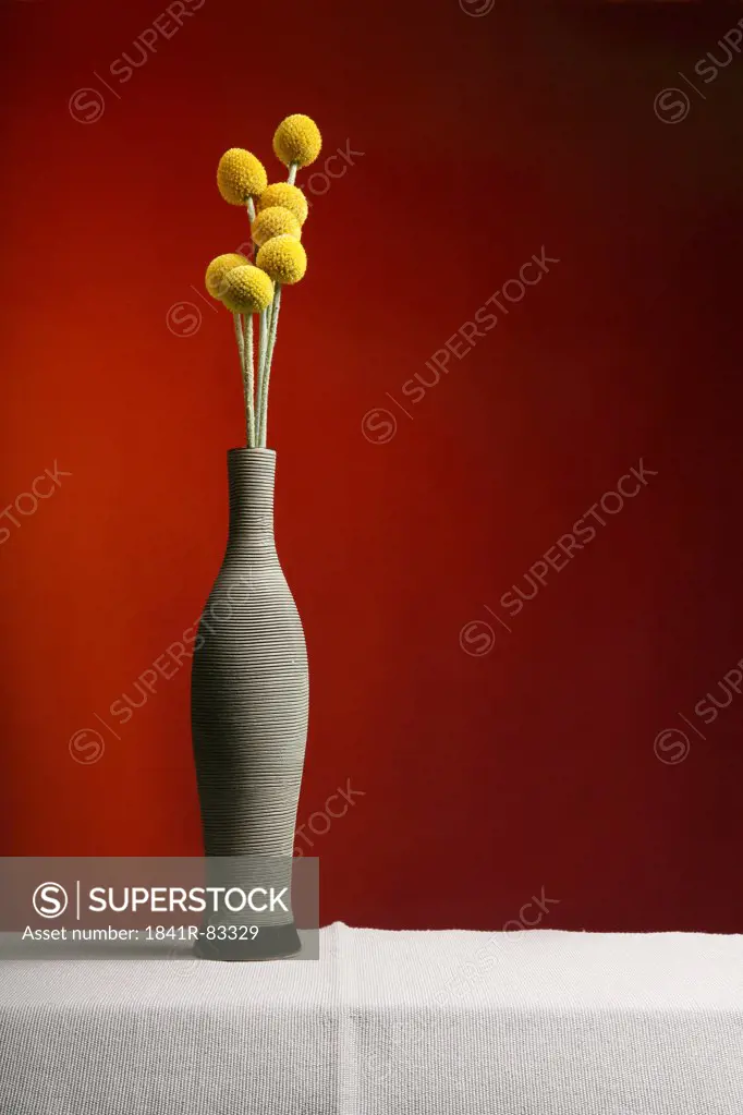 Yellow flowers in a flower vase against red background