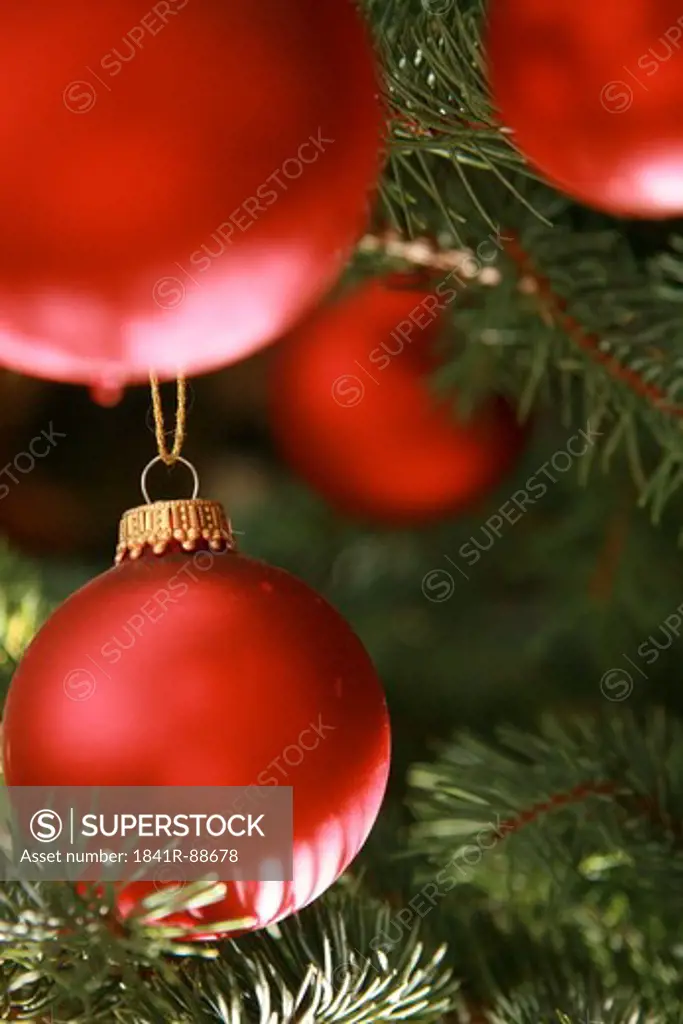 Close-up of Christmas ornaments hanging on tree
