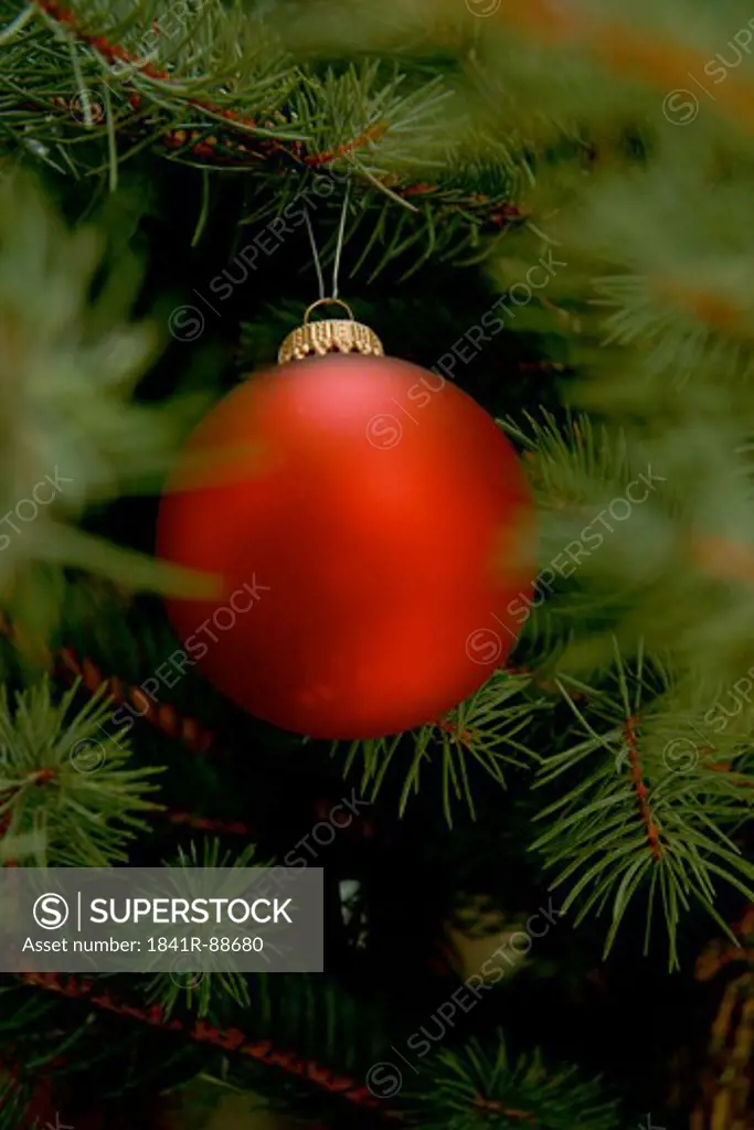 Close-up of Christmas ornament hanging on tree