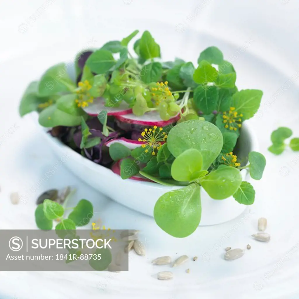 Close-up of slices of radish and leaves in bowl