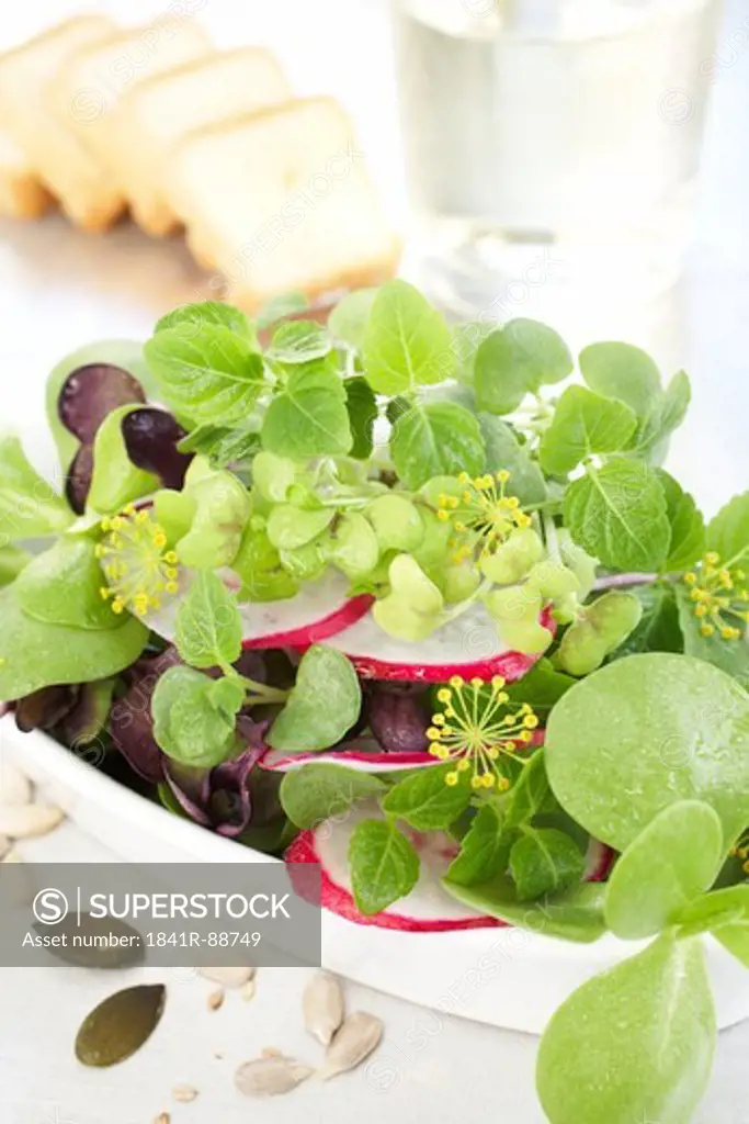 Close-up of slices of radish and leaves in bowl