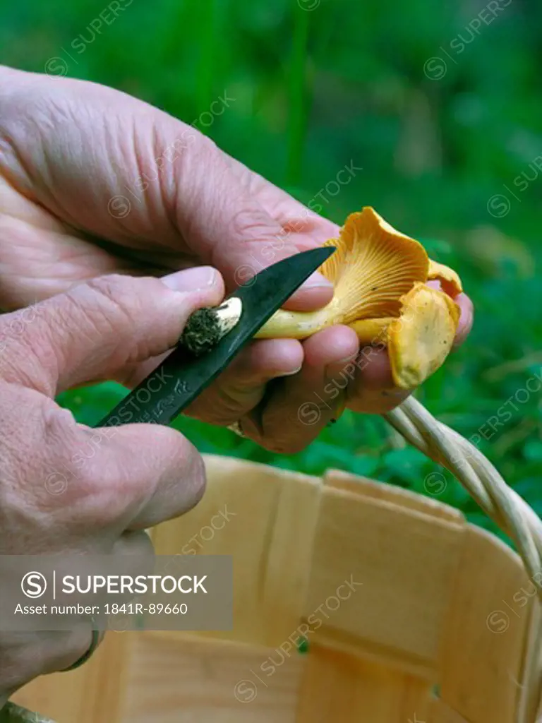 Close-up of person cutting mushroom