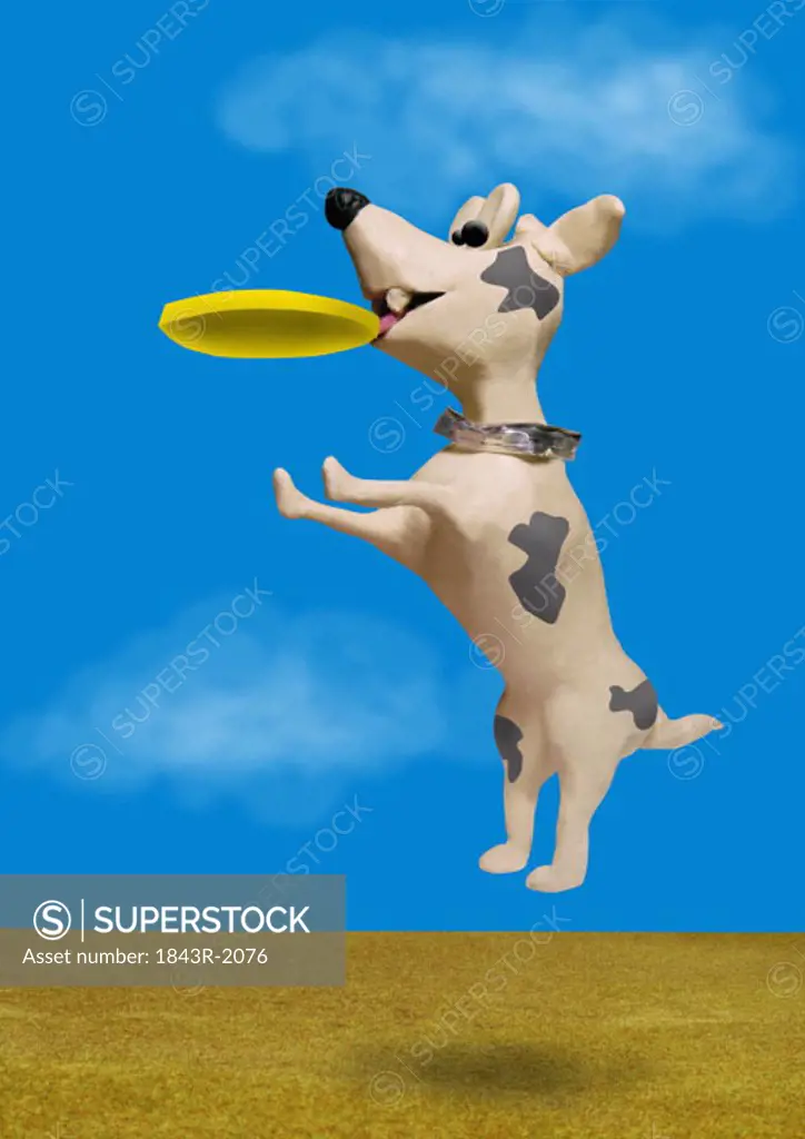 Dog jumping in the air to catch a Frisbee