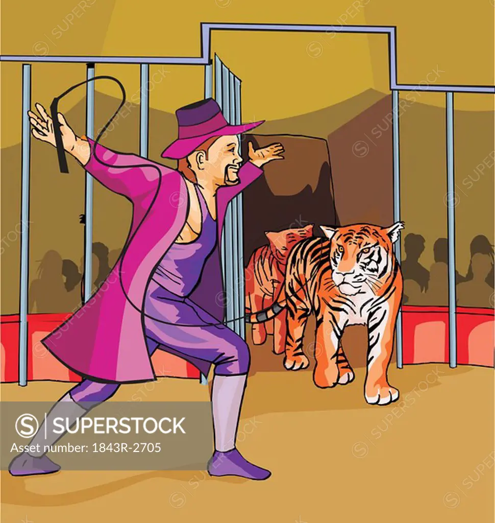 Side view of ringmaster with tigers in circus