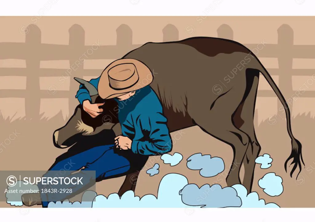 Cowboy grabbing a bull by its horns