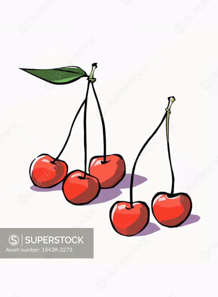 Cherries on their stems