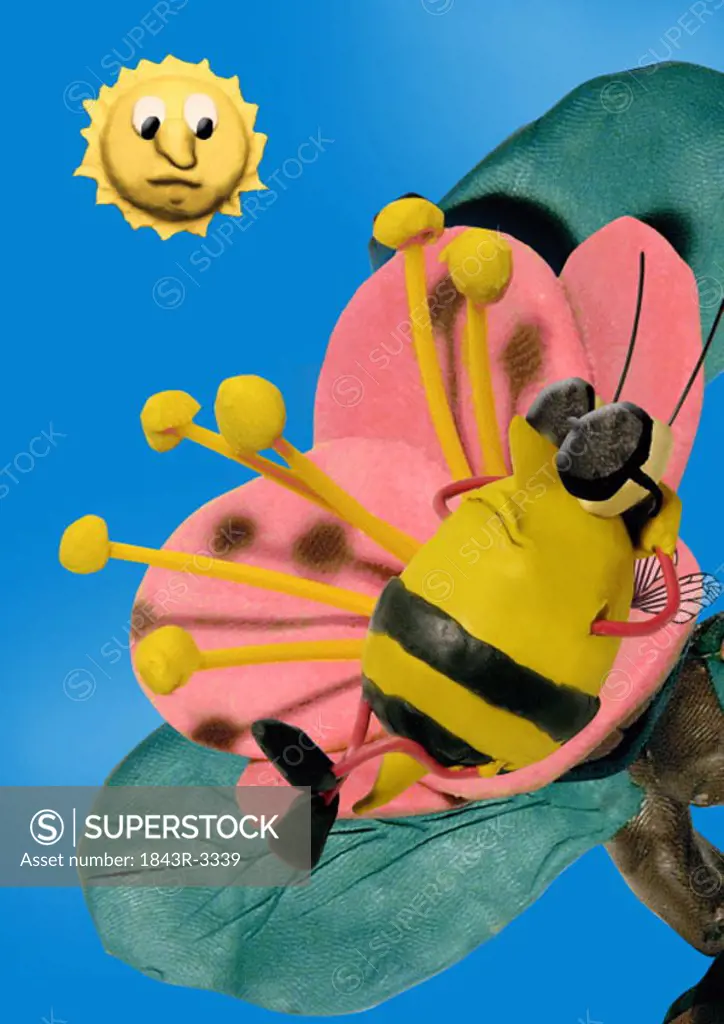Bee sunbathing on a flower