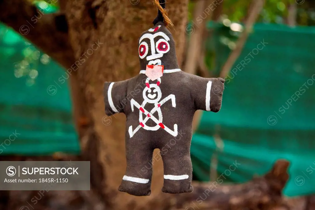 Doll hanging from a tree, Goa, India