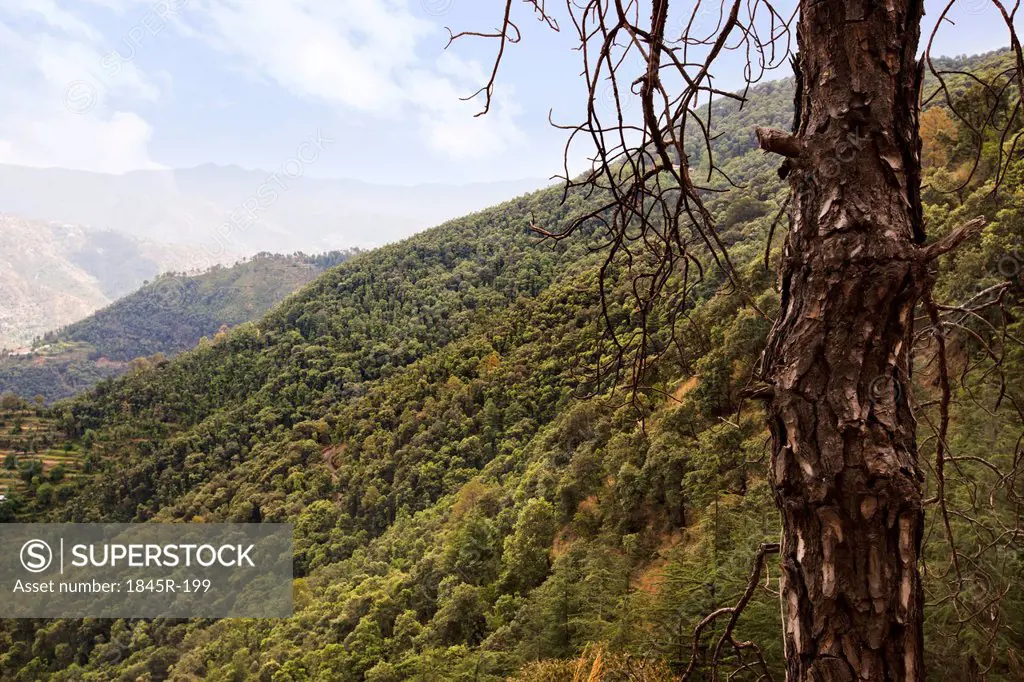 High angle view of a valley with mountains, Shimla, Himachal Pradesh, India