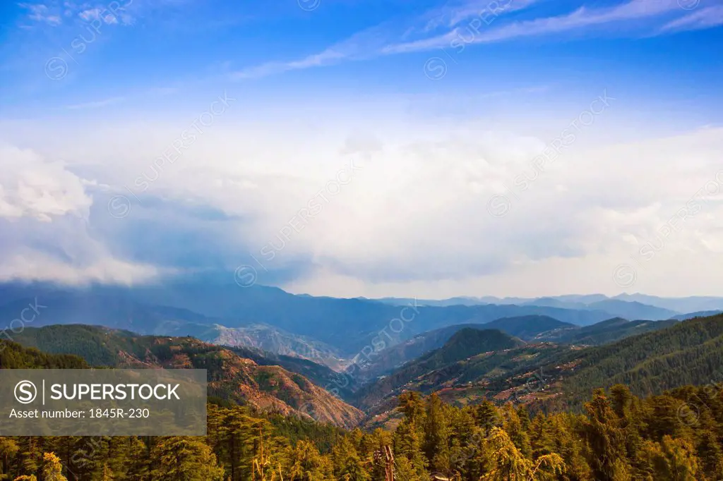 Trees with mountain range in the background, Kufri, Shimla, Himachal Pradesh, India