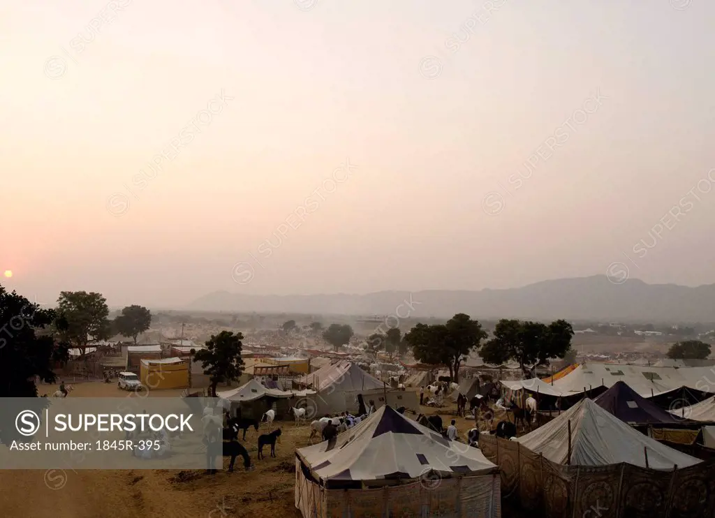 Tents for temporary shelter at Pushkar Camel Fair, Pushkar, Ajmer, Rajasthan, India