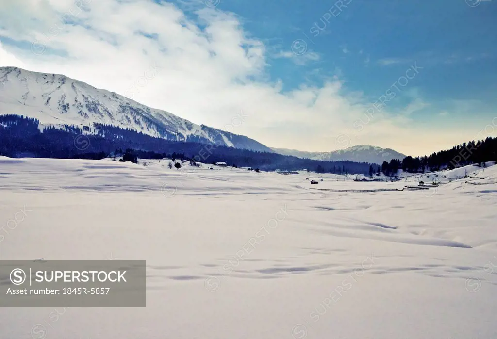 Snow covered valley in winter, Gulmarg, Jammu And Kashmir, India