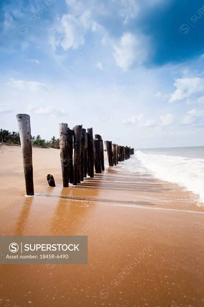 Wooden posts on the beach, Pondicherry, India