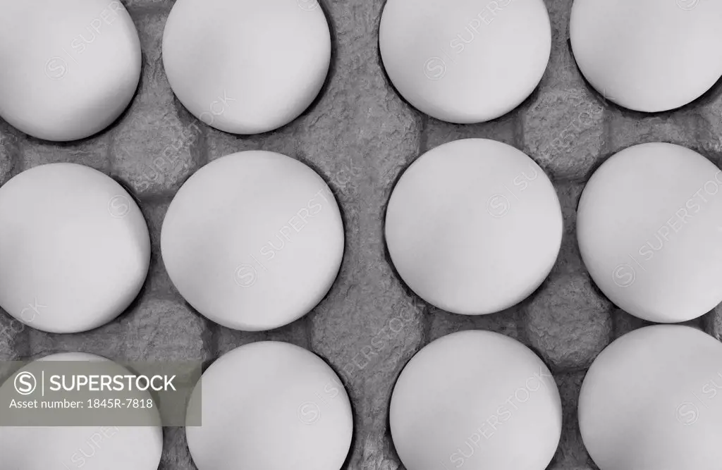 Close-up of a carton of eggs