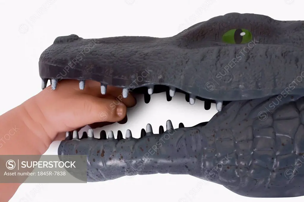 Toy crocodile holding a doll's hand in jaw
