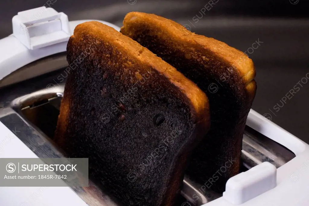 Close-up of burnt toasts in a toaster