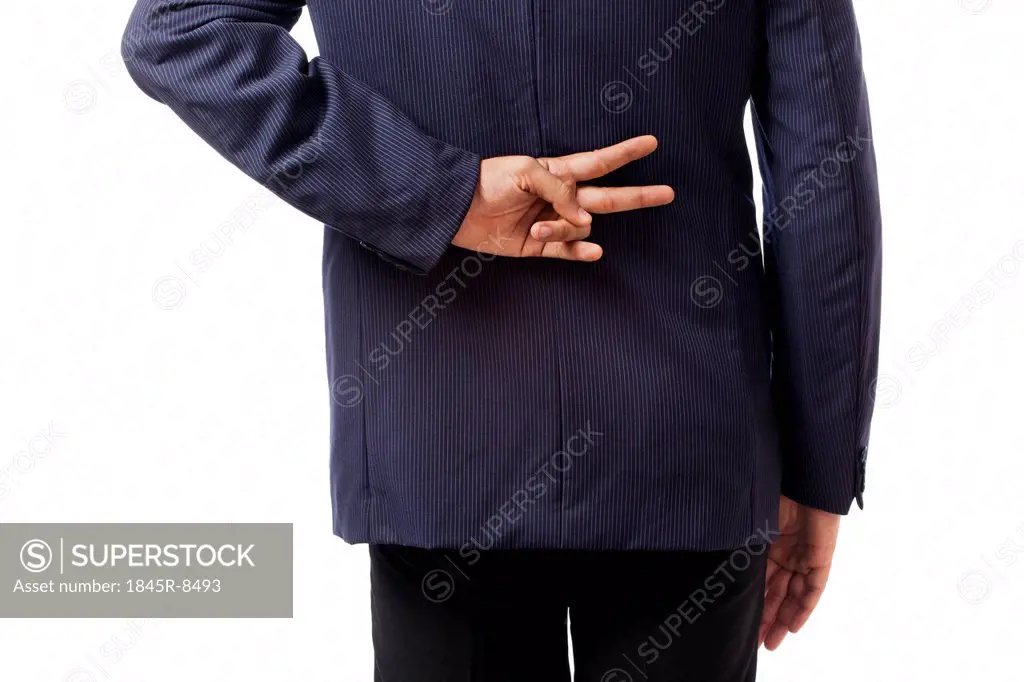 Rear view of a businessman gesturing