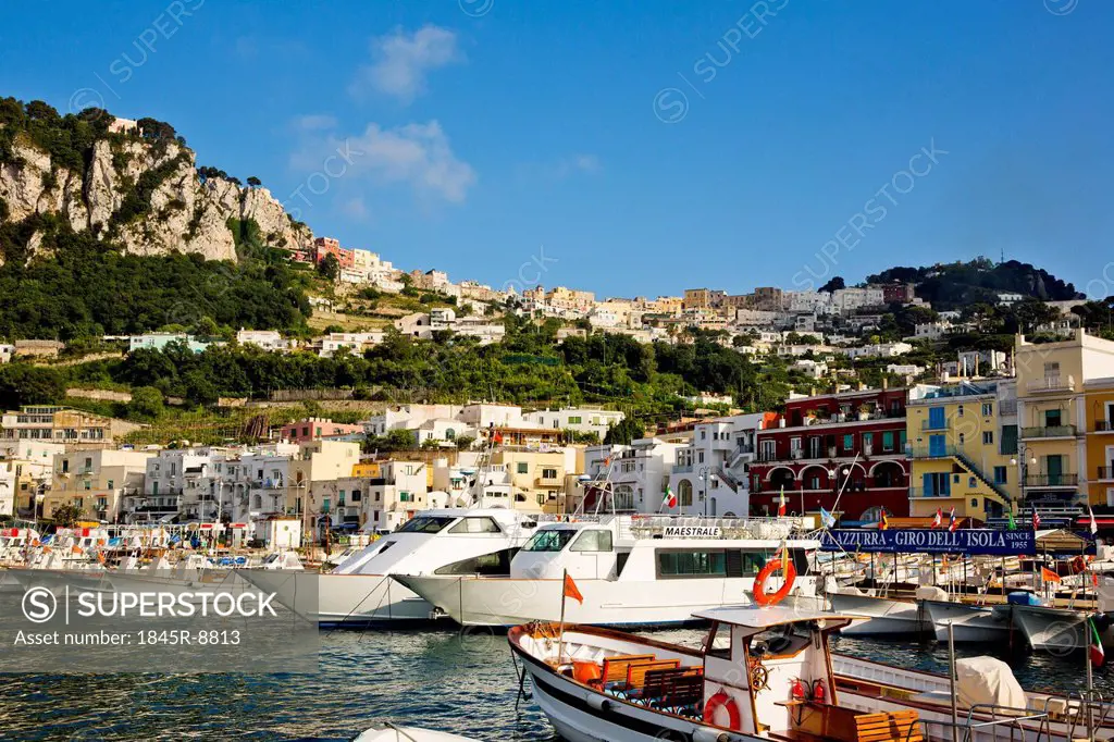 Boats at a harbor, Capri, Campania, Italy