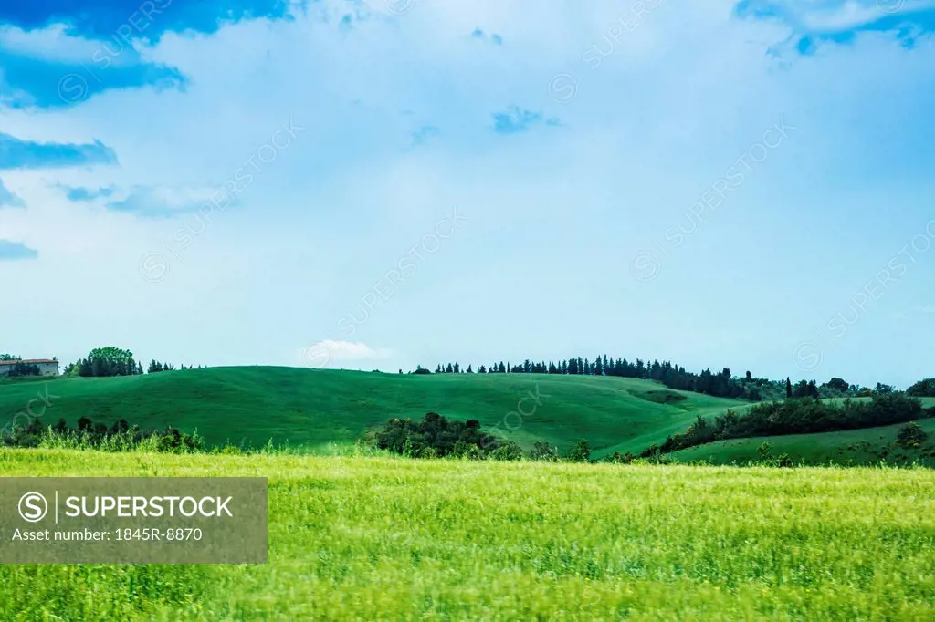 Landscape, Volterra, Province of Pisa, Tuscany, Italy