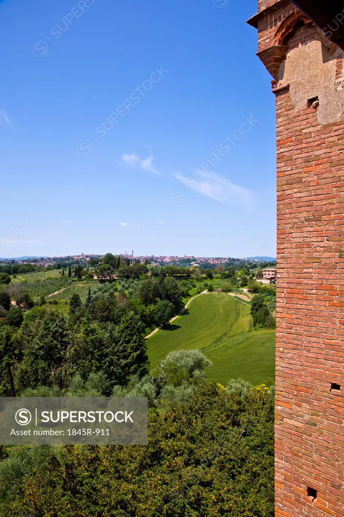 Trees and plants in a garden, Castello Delle Quattro Torra, Siena, Siena Province, Tuscany, Italy