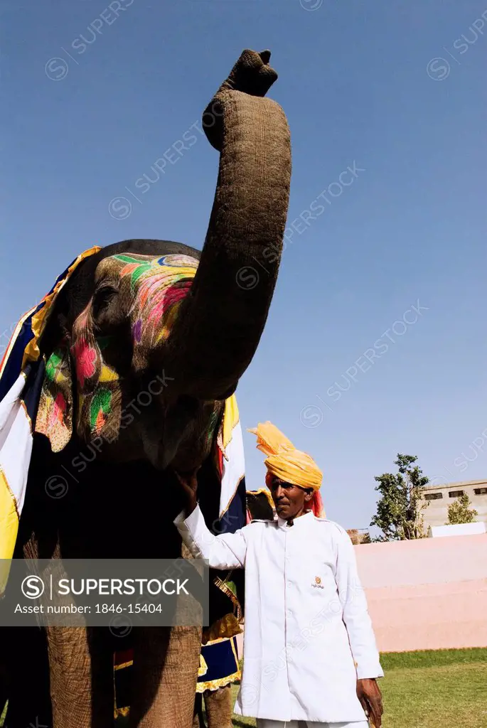 Mahout standing with his elephant, Elephant Festival, Jaipur, Rajasthan, India
