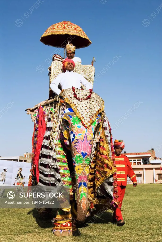 Man in traditional Rajasthani royal dress on an elephant, Elephant Festival, Jaipur, Rajasthan, India