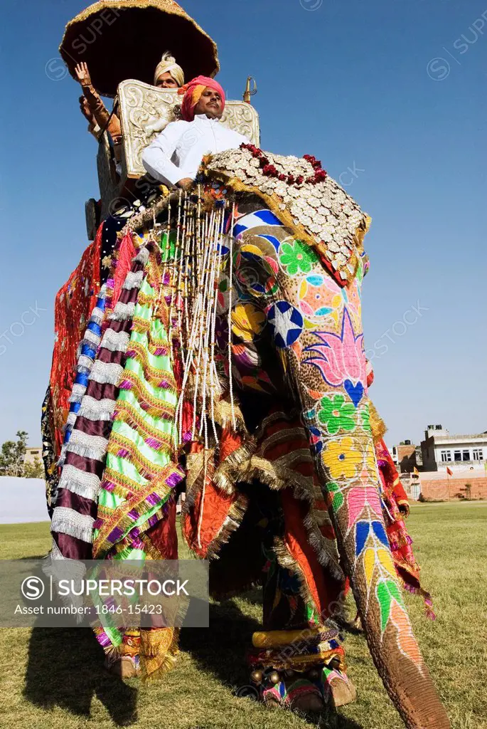 Man in traditional Rajasthani royal dress on an elephant, Elephant Festival, Jaipur, Rajasthan, India