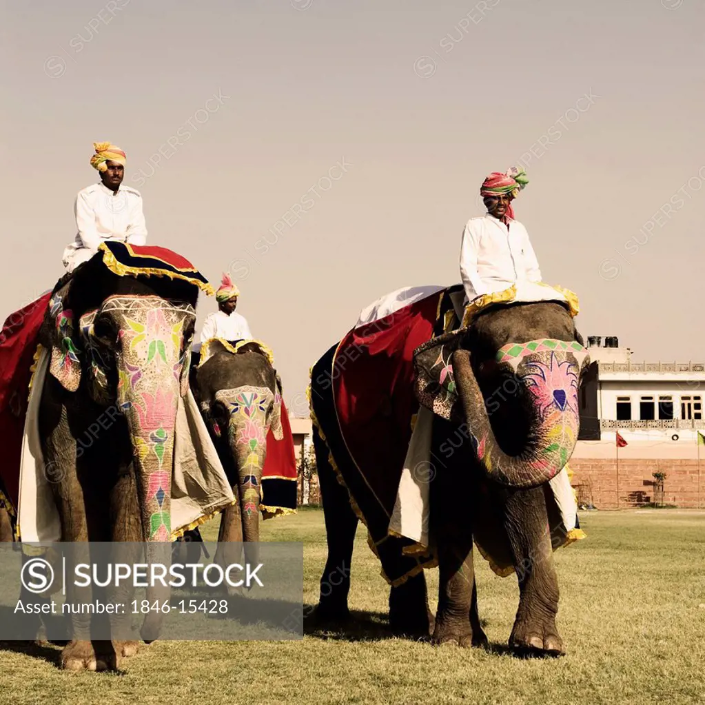 Royal elephant procession during Elephant Festival, Jaipur, Rajasthan, India