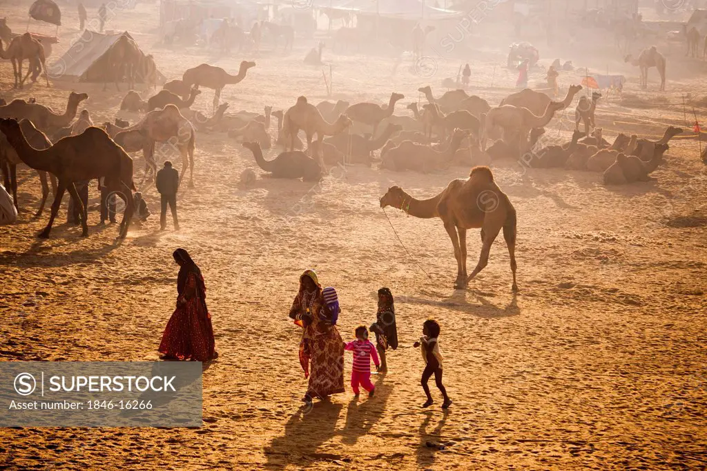 Scene at Pushkar Camel Fair, Pushkar, Ajmer, Rajasthan, India