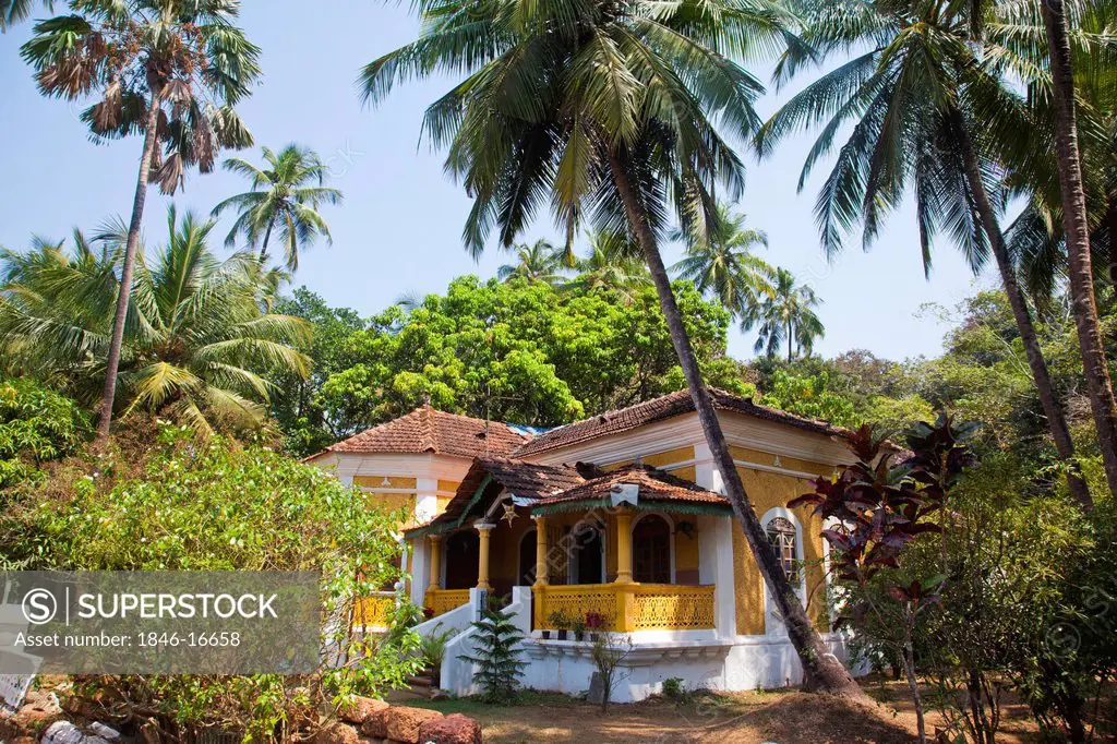 Trees around a house, Siolim, North Goa, Goa, India