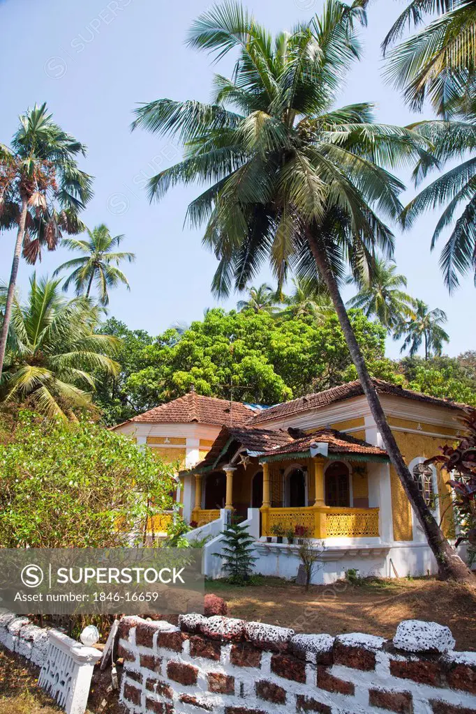 Trees around a house, Siolim, North Goa, Goa, India
