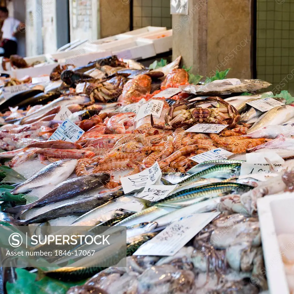 Seafood for sale at fish market, Tronchetto Mercato, Venice, Veneto, Italy