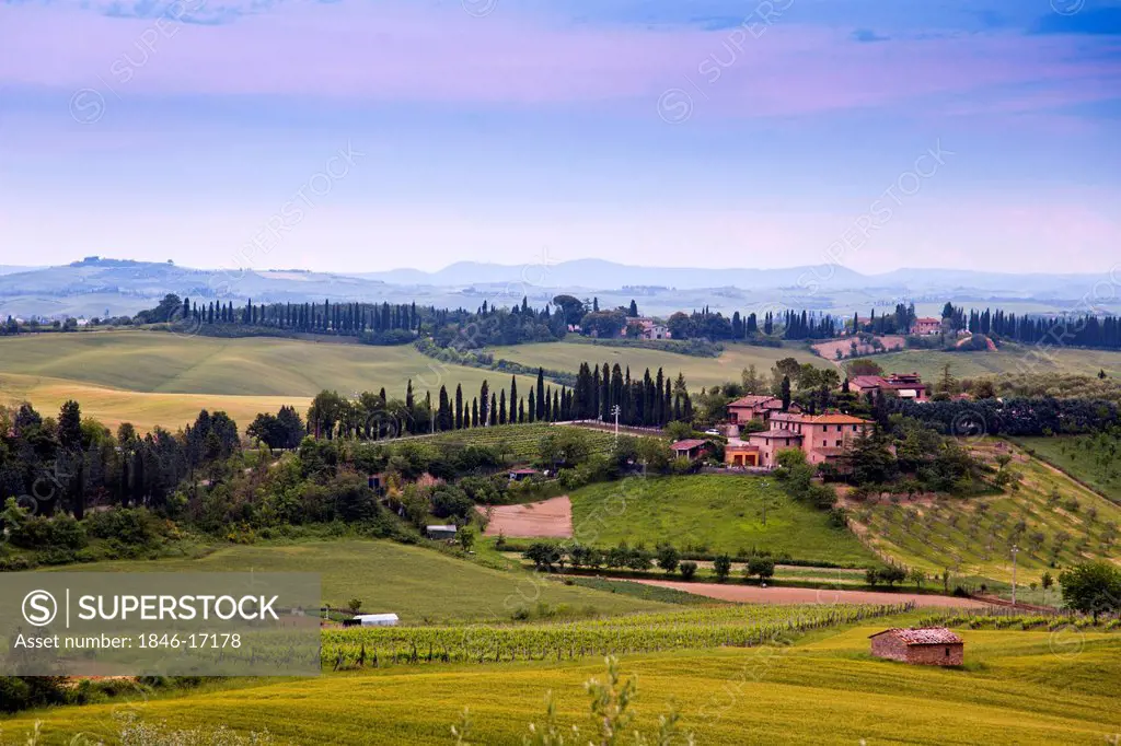 Fields with mountain range in the background, Siena, Tuscany, Italy