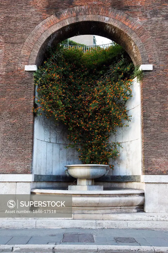 Fountain under an arch with ivy, Rome, Lazio, Italy