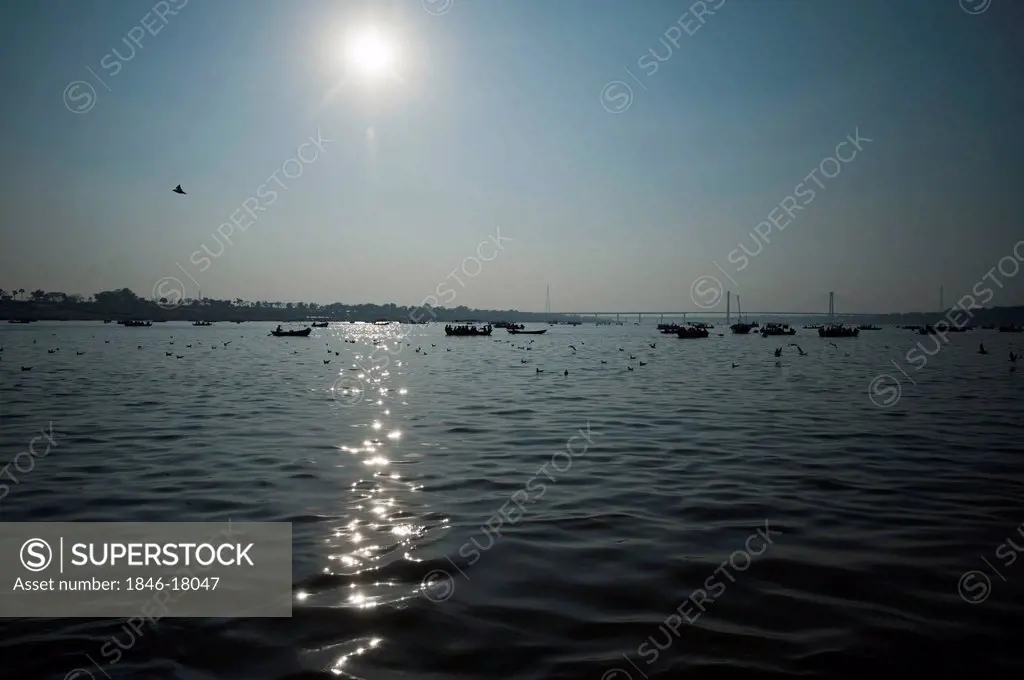 Boats in the Ganges River, Allahabad, Uttar Pradesh, India