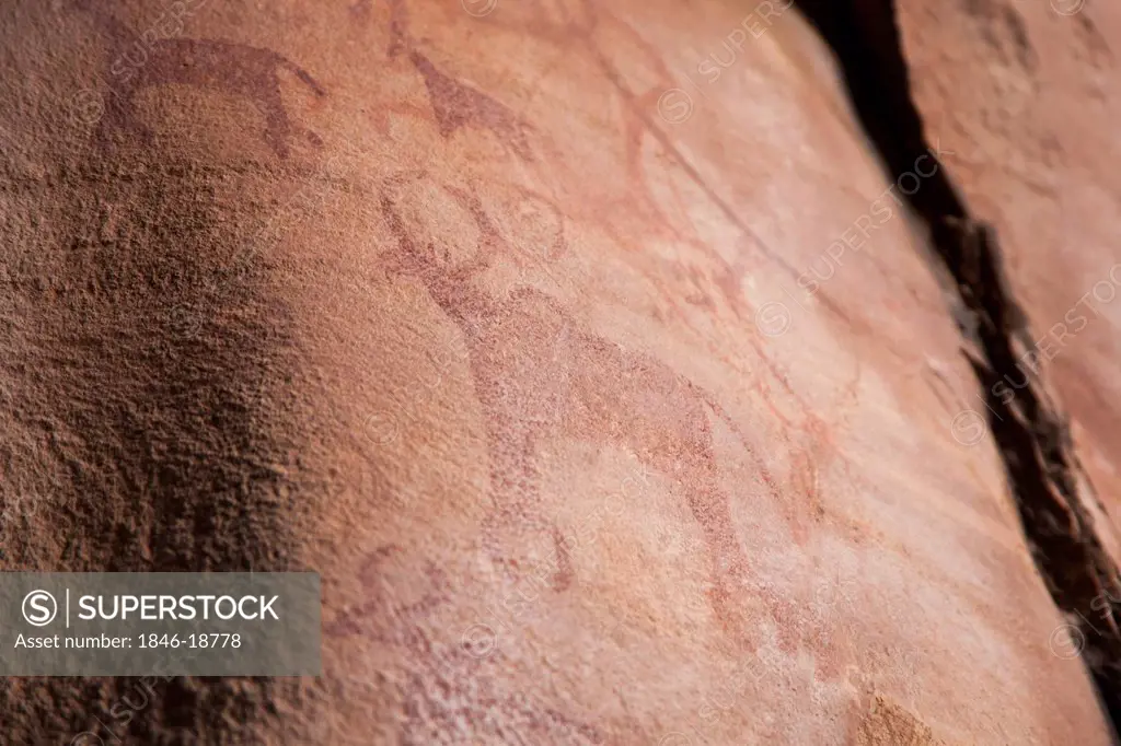 Close-up of a cave painting of animals, Bhimbetka Rock Shelters, Raisen District, Madhya Pradesh, India