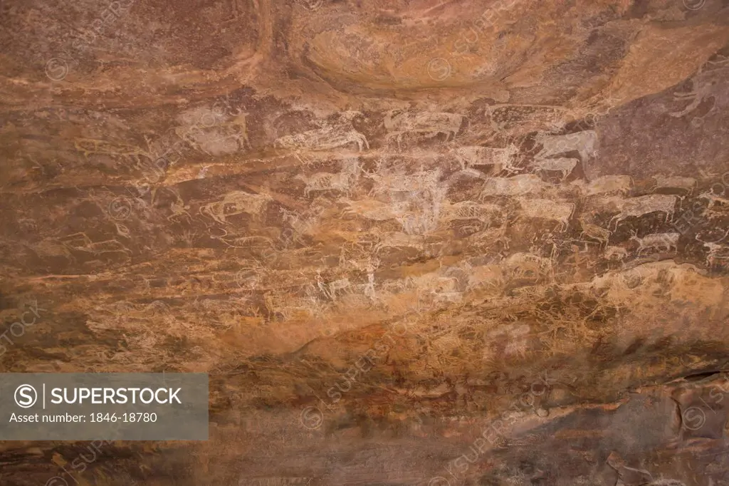 Close-up of a cave painting of animals, Bhimbetka Rock Shelters, Raisen District, Madhya Pradesh, India