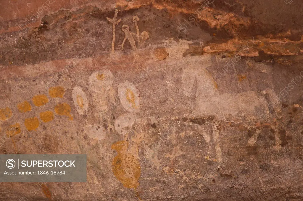 Close-up of a cave paintings of horse, Bhimbetka Rock Shelters, Raisen District, Madhya Pradesh, India