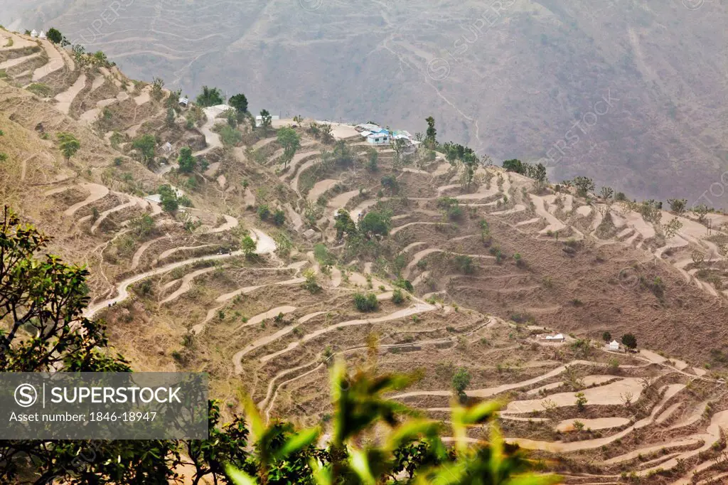 High angle view of terraced fields, Mussoorie, Uttarakhand, India