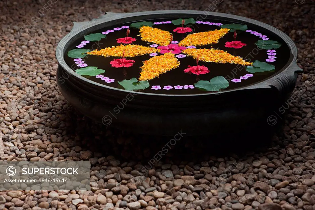 Beautiful flower rangoli on water in a bowl, Kerala Backwaters, Alappuzha District, Kerala, India