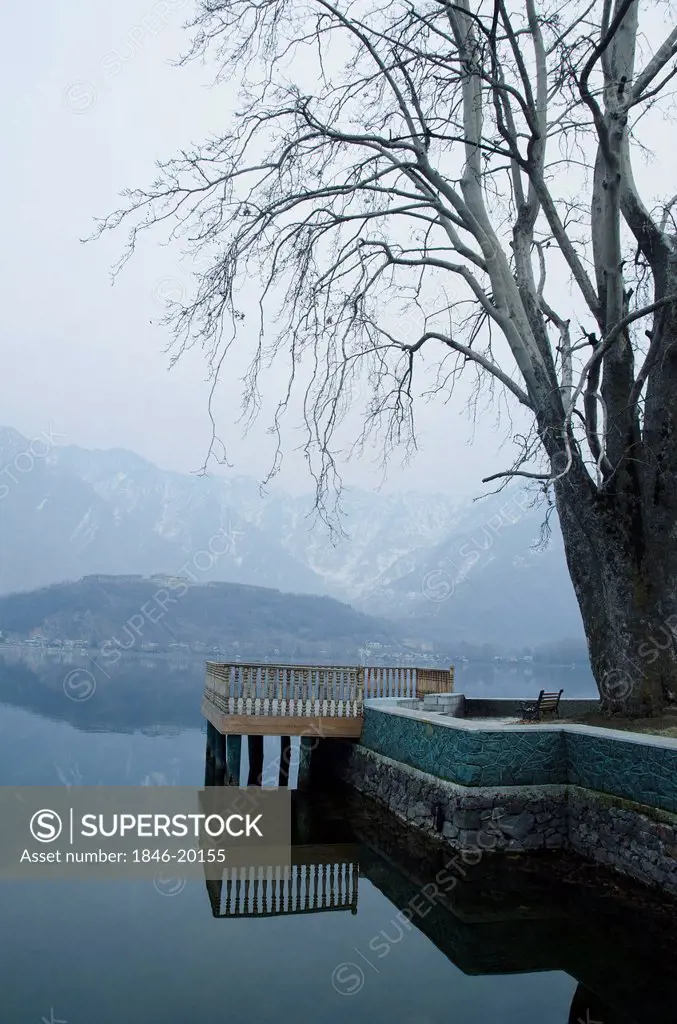 Lake, Dal Lake, Srinagar, Jammu And Kashmir, India