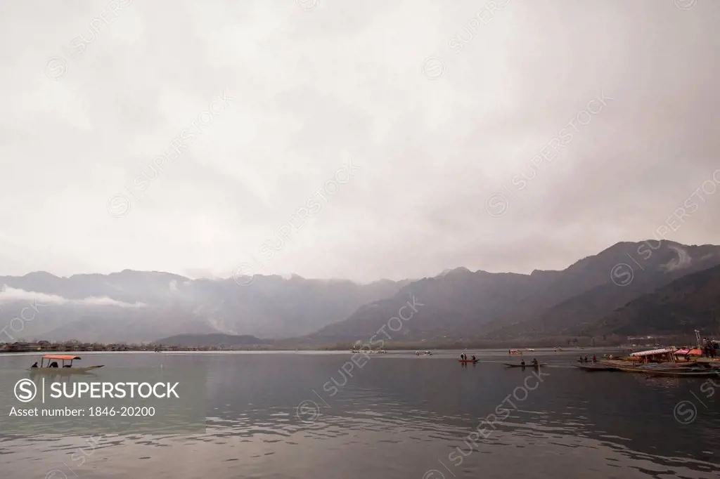 Shikaras in a lake, Dal Lake, Srinagar, Jammu And Kashmir, India