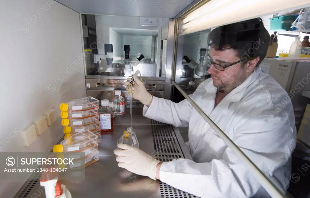 Stem cell research, Max Planck Institute for Medical Research, molecular genetics, scientist, laboratory worker cultivating stem-cell, Berlin, Germany