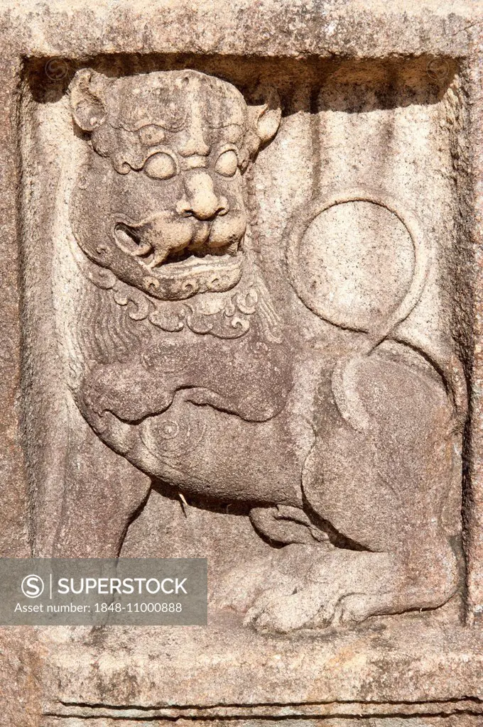 Historic stone-relief, lion, Abhayagiri Temple, Anuradhapura, Sri Lanka