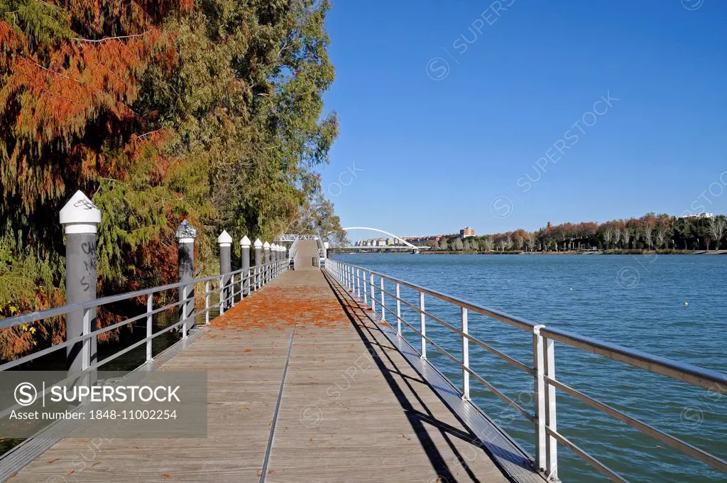 Boardwalk, promenade on the Guadalquivir river, Puente de la Barqueta bridge at the back, Seville, Andalusia, Spain