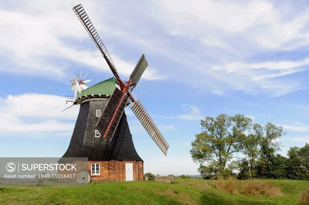 Windmill, built in 1889, Stove, Mecklenburg-Western Pomerania, Germany