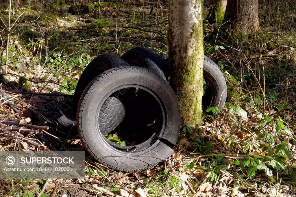 Old car tyres in a forest, Bavaria, Germany